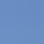 Profile photo of Teddy