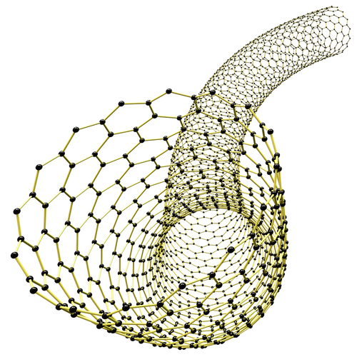 Carbon Nanotubes and lung injury
