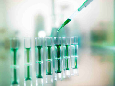 stem cell therapies