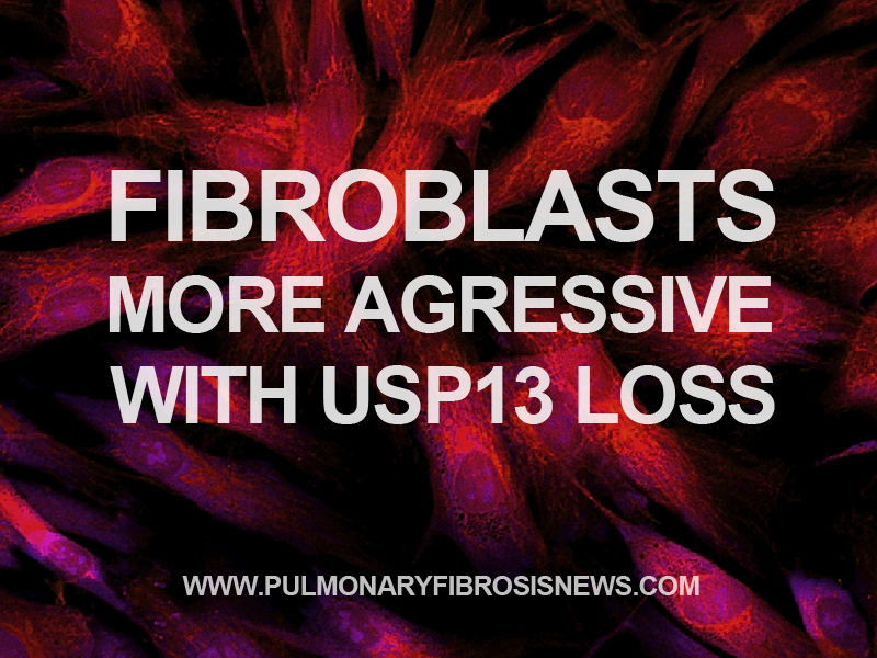 PF_fibrosis
