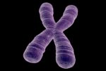 Short telomere syndrome