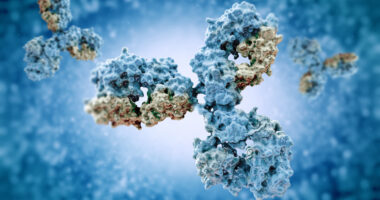 Antibodies against Cxcr3 and Cxcr4 and systemic sclerosis