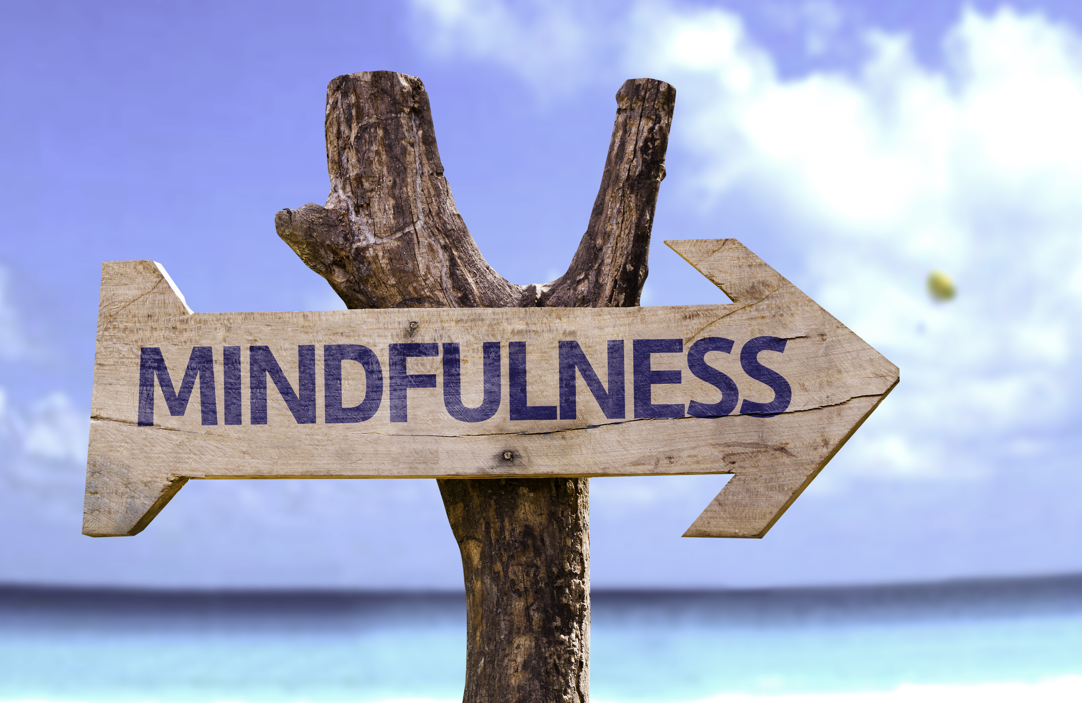 Mindfulness therapy for IPF patients.
