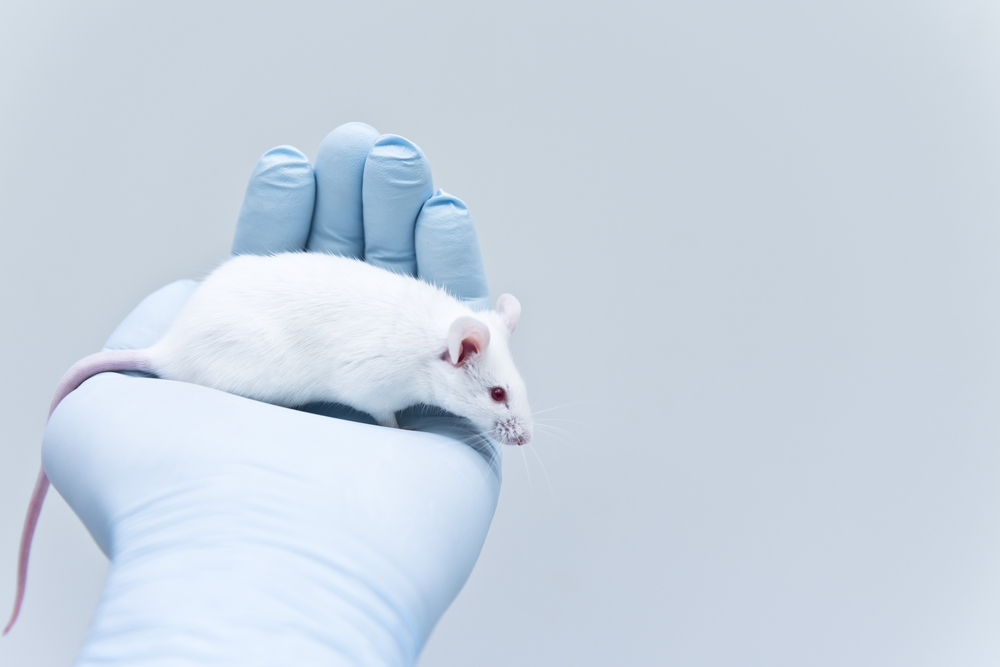 Chinese language Drugs Plant Compound Reduces IPF Lung Scarring in Rats