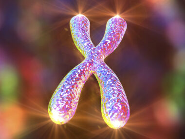 telomere