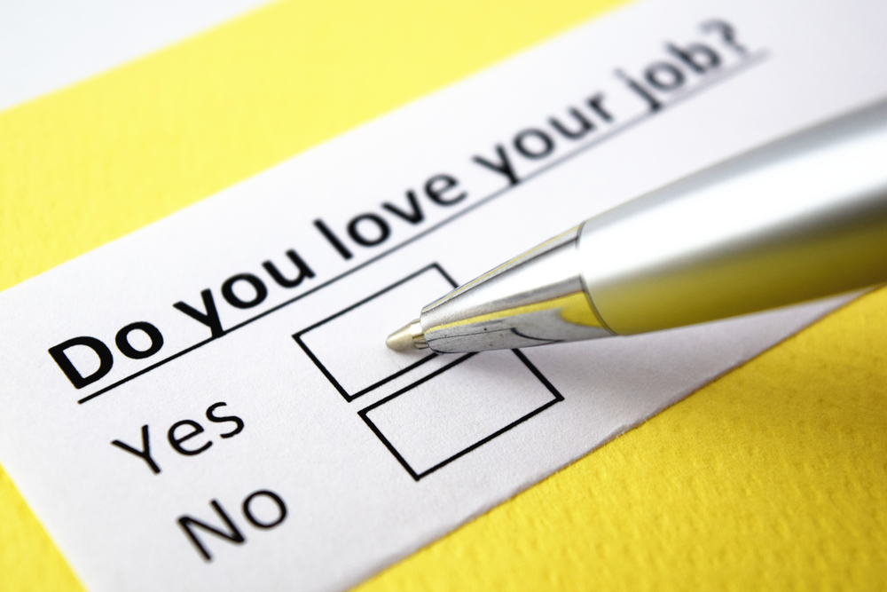 loving your job
