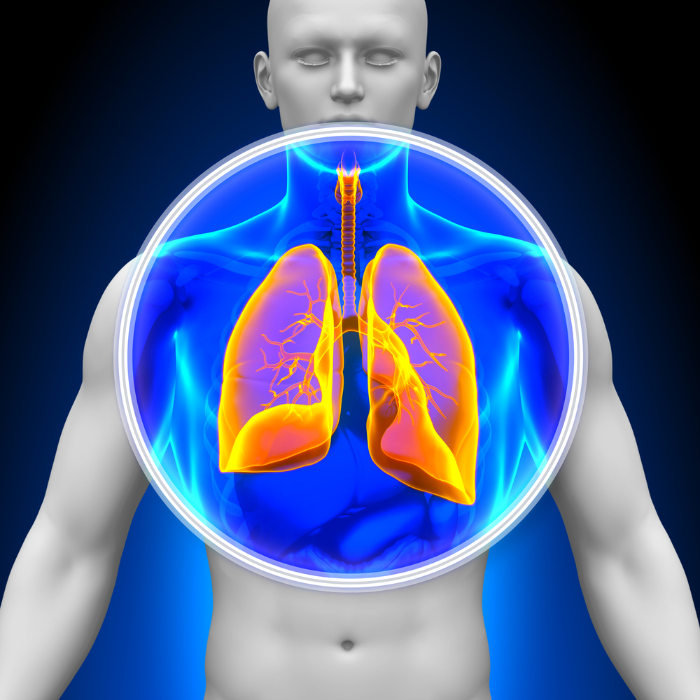 Lung transplant study