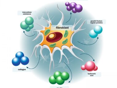 compounds called trihydroxyphenolics