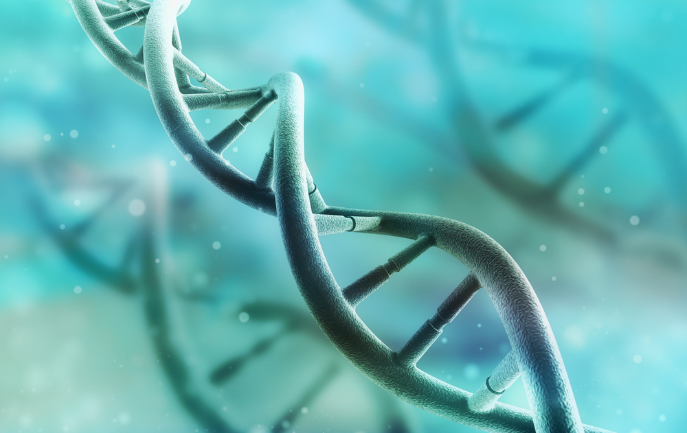 telomeres and DNA damage