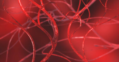 lung cell atlas