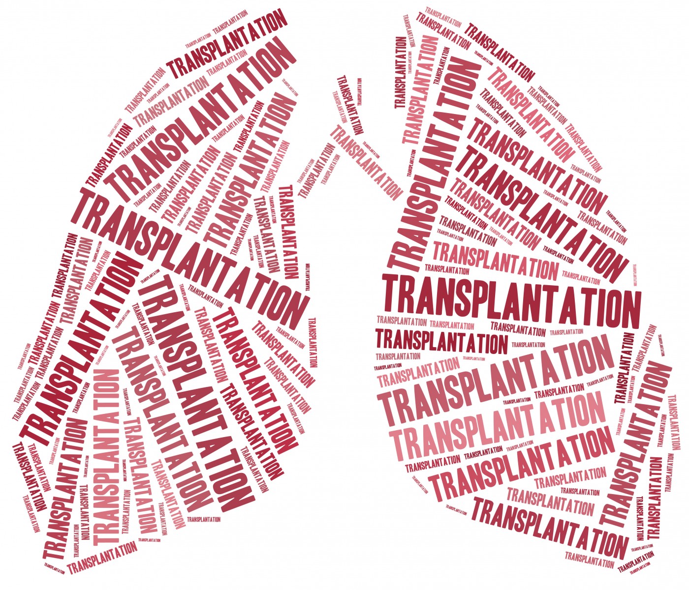 lung transplant