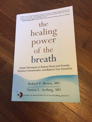 The Healing Power of Breath by Richard P. Brown and Patricia L. Gerbarg