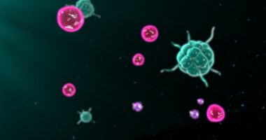 extracellular vesicles
