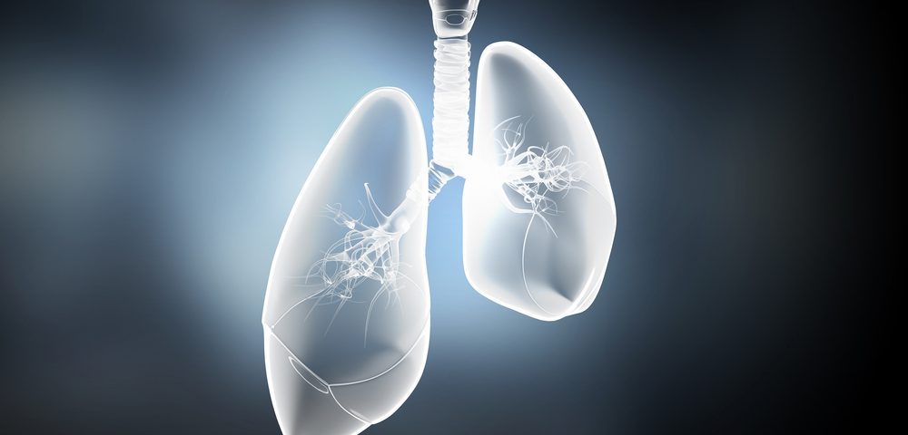 New 3D Lung Model Points Away From Tissue Stiffening as