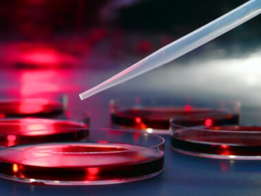 3D cell model project