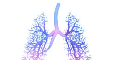 treatments with advanced IPF | Pulmonary Fibrosis News | the human lungs