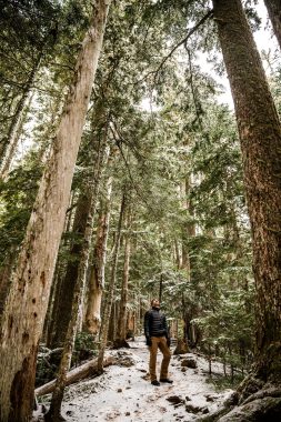 holiday blues | Pulmonary Fibrosis News | Christie's husband, Jonny, poses among large trees in a Washington state forest in the winter