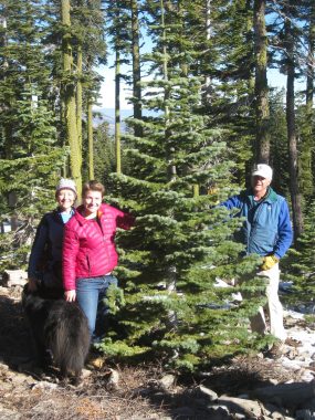 holiday blues | Pulmonary Fibrosis News | In a 2013 photo, Holly, Christie, and Ed Patient pose next to a tall Christmas tree they've found in the woods. 
