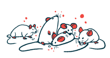 A handful of rodents cluster together, with one eating a food pellet.