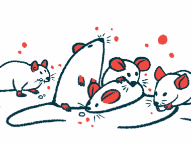 A handful of rodents cluster together, with one eating a food pellet.