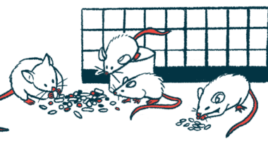 IPF treatment | Pulmonary Fibrosis News | illustration of mice in a lab eating