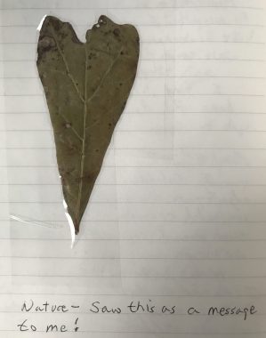 A small, olive-colored, heart-shaped leaf is taped to a page of a journal. Below it, the author has written, "Nature – saw this as a message to me!"