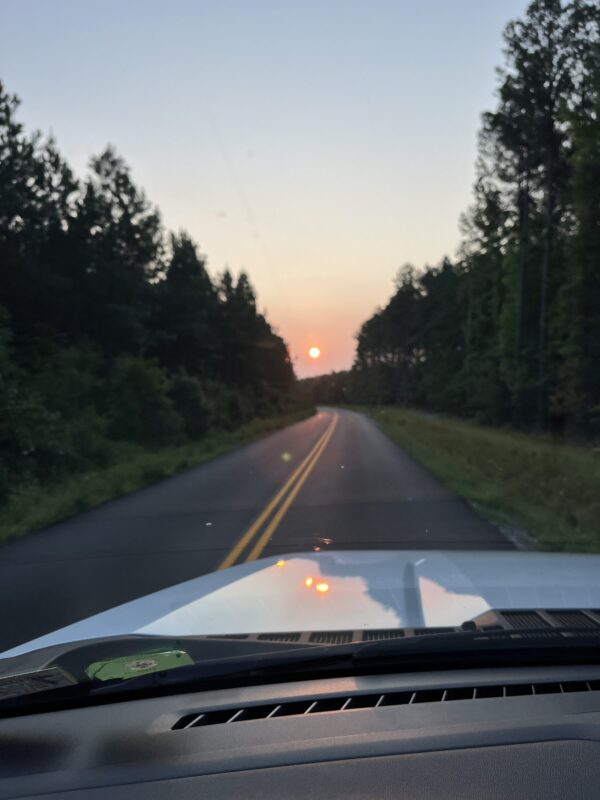 We see the front of a car heading down a two-lane road toward the sun in the distance, yellow and surrounded by orange light below a blue sky. Grass and then trees line either side of the road.