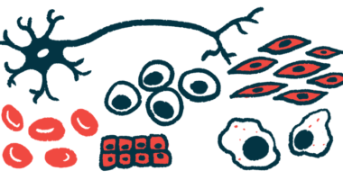 An illustration shows a collection of different stem cells.