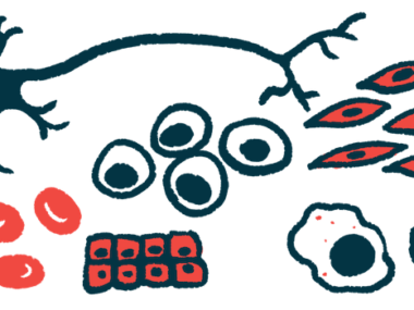 An illustration shows a collection of different stem cells.