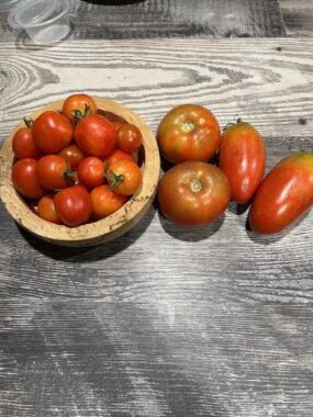 Several different sizes of tomatoes sit on a table.